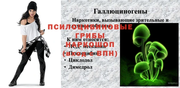 соль курить ск Арсеньев