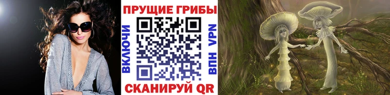 Галлюциногенные грибы Psilocybine cubensis  где купить наркоту  Спасск 