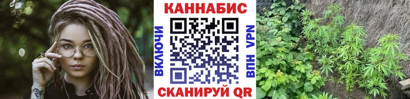 Канабис SATIVA & INDICA  купить наркотики цена  Спасск 